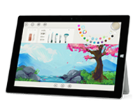 延平Surface 无法开启、Windows 无法启动或电池无法充电